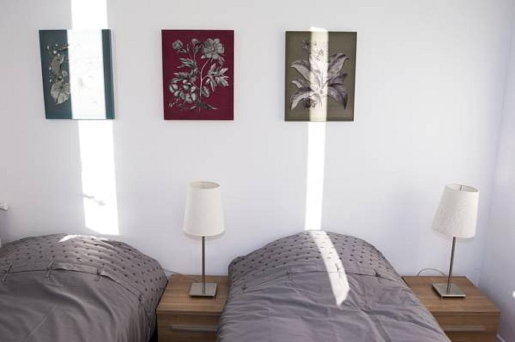 Appartement Cannes Rue Marceau 部屋 写真